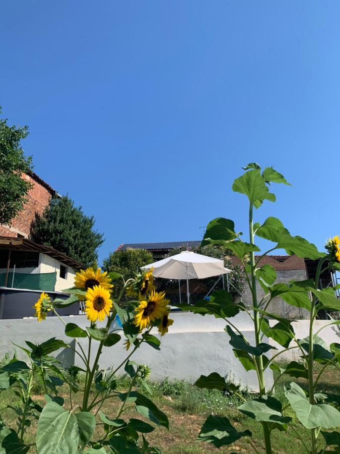 ולנצה Ca' Degli Ovi B&B מראה חיצוני תמונה