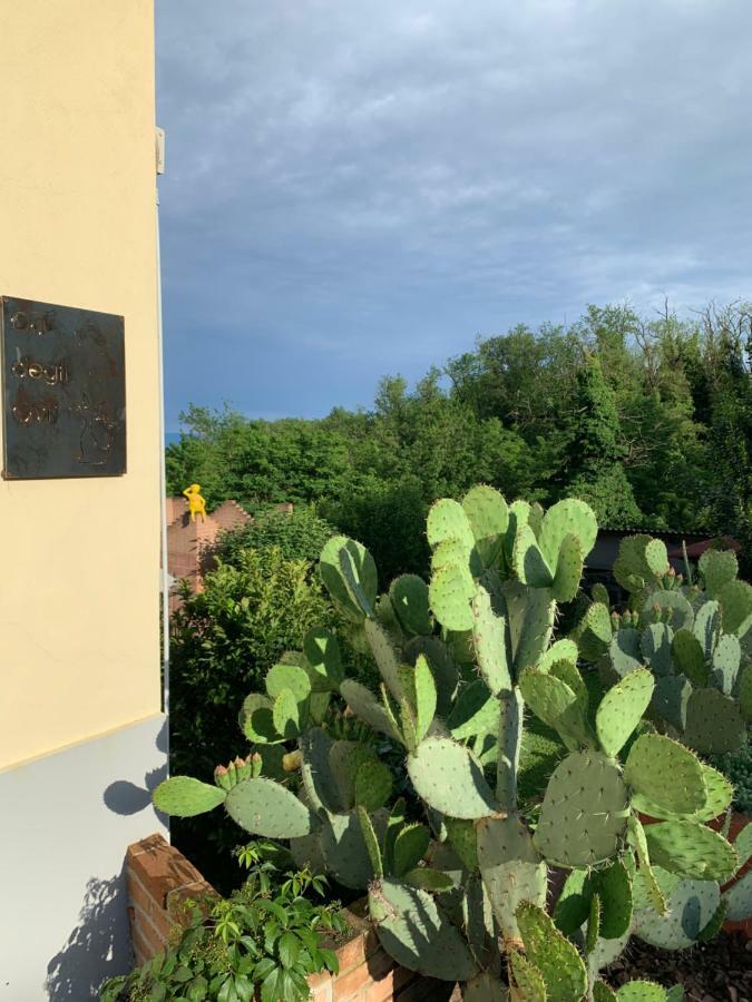 ולנצה Ca' Degli Ovi B&B מראה חיצוני תמונה